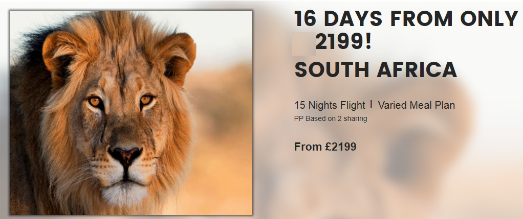 16 day South African Safari Tour from UK